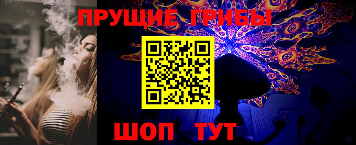 Псилоцибиновые грибы Psilocybine cubensis  Вход с VPN  Псилоцибиновые грибы мицелий  Муром 
